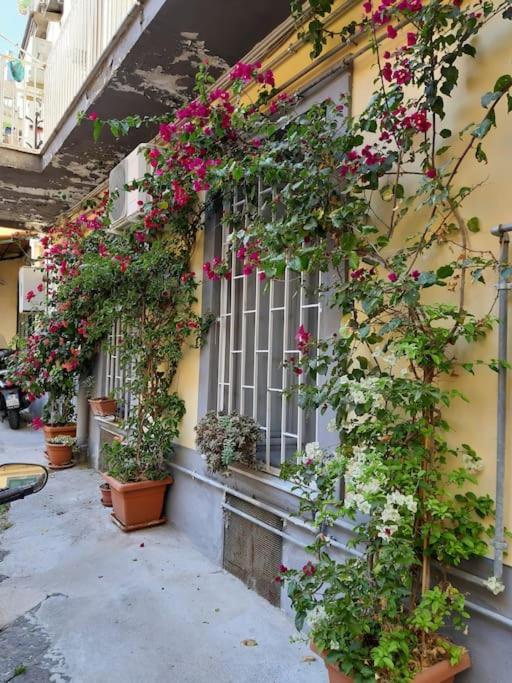Vesuvius A Mezzocannone Apartment Naples Exterior photo